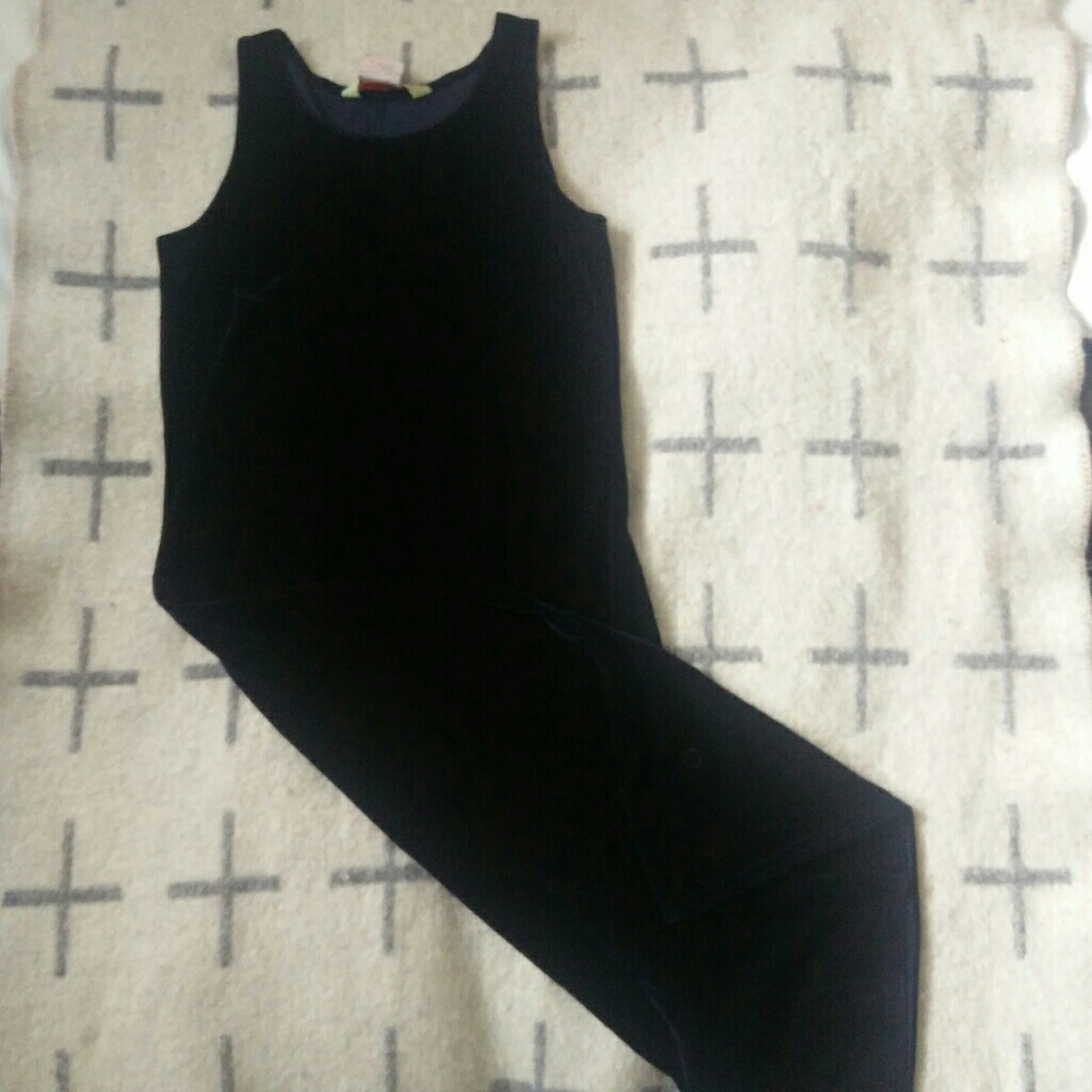 Navy Blue Velvet Velour Dress